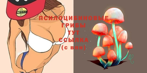 mdma Дмитров