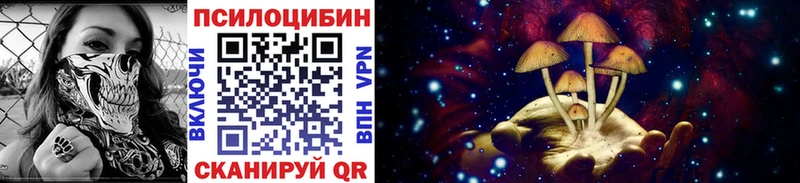 магазин  наркотиков  Богданович  Псилоцибиновые грибы GOLDEN TEACHER 